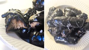 Chocolate-Covered Pumpkin Truffle Bars