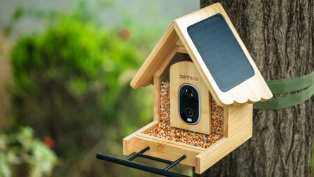 Care for Feathered Friends in Winter With DETIKO Smart Bird Feeders, now 35% Off for Black Friday Detiko Black Friday deal 2025 - Bamboo Smart Bird Feeder