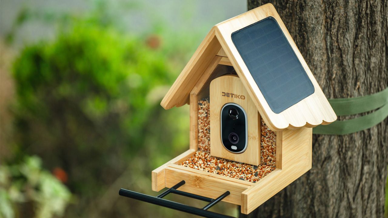 Detiko Black Friday deal 2025 - Bamboo Smart Bird Feeder