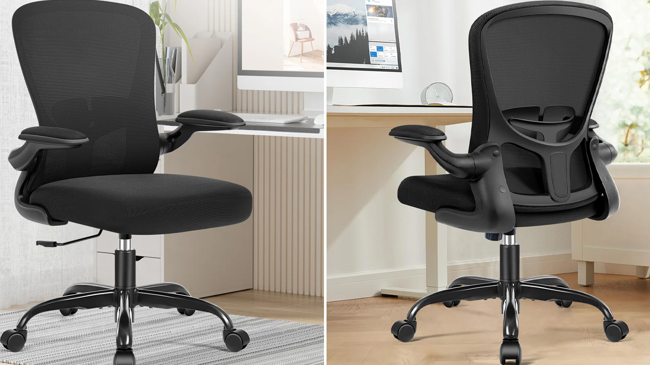 Ergonomic Home Office Mesh Task Chair