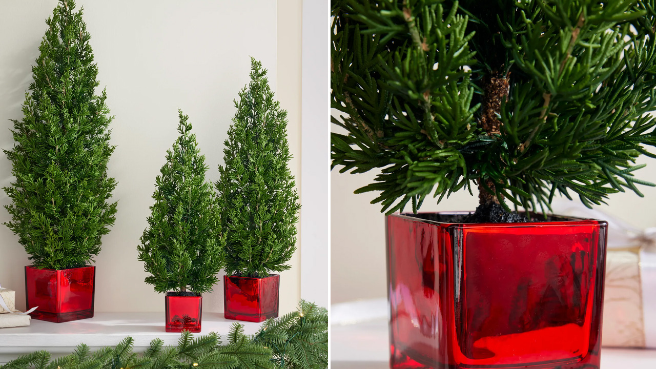 Evergreen Tabletop Trees