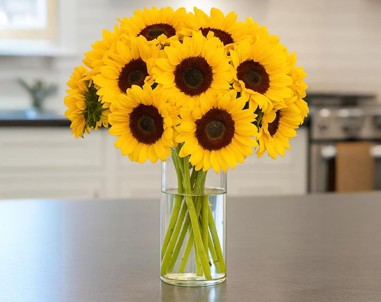 Farm Fresh Sunflowers
