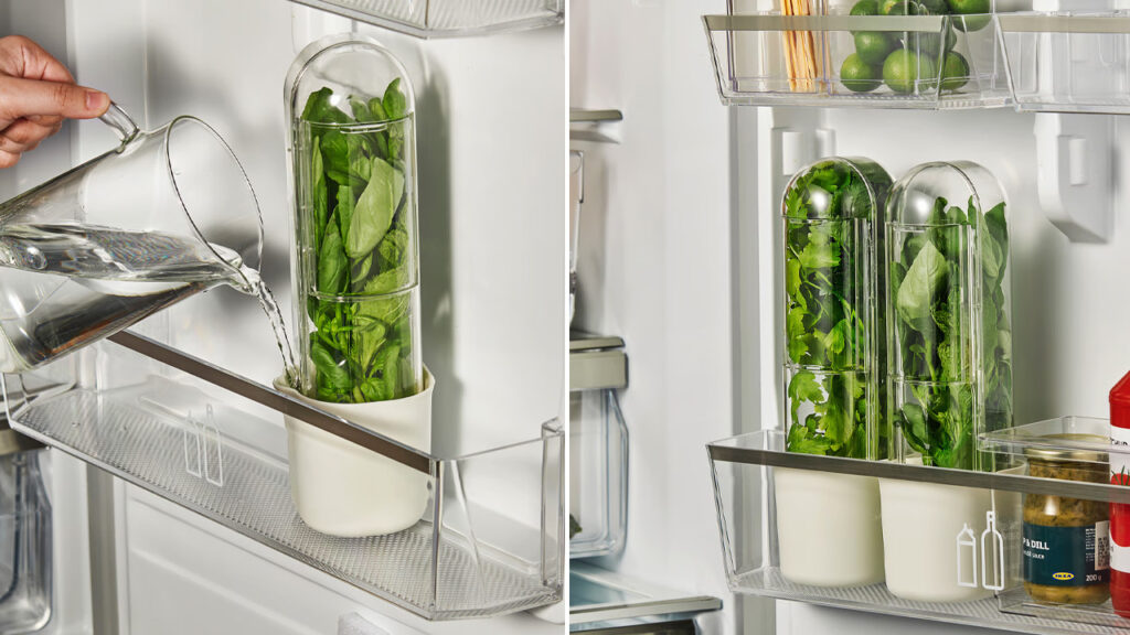 IKEA Klippkaktus Herb Storage Container