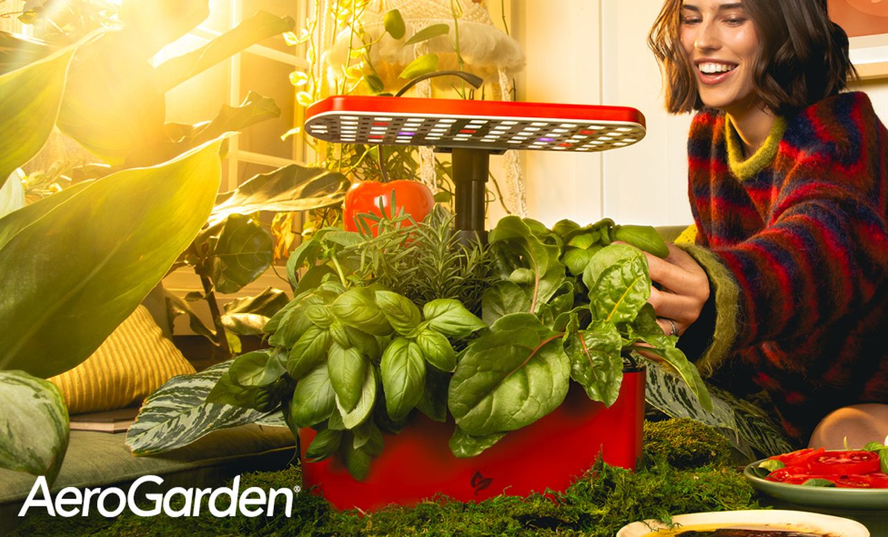 Kitchen Black Friday Deals - AeroGarden Harvest 2.0