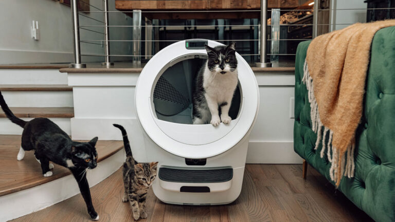 Whisker Litter-Robot 5 Pro Could be the Smartest Cat Litter Box for Kittens Litter-Robot 5 Pro