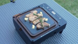 NexGrill is Battery-Powered Portable Grill for RV Enthusiasts Looking for Flame and Smoke Free Solution