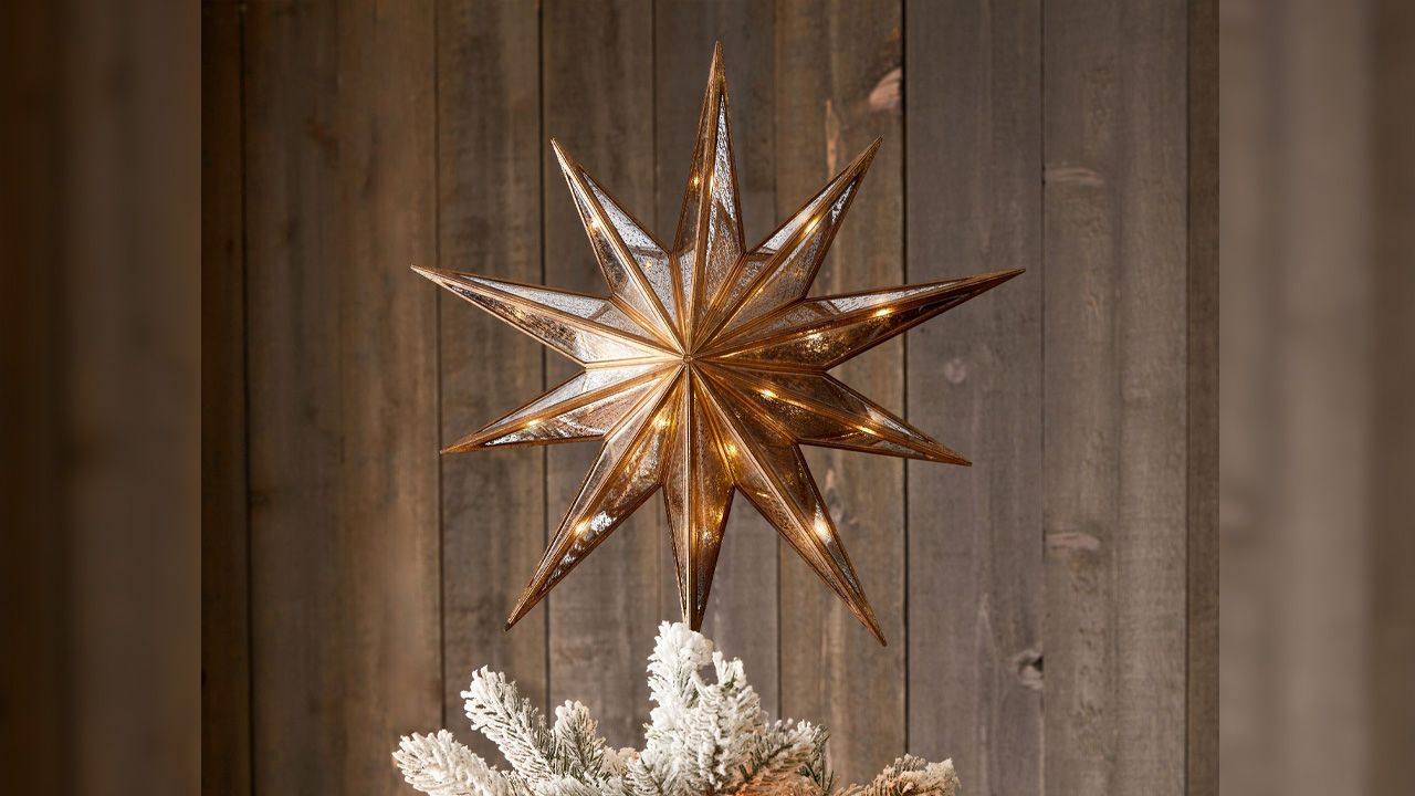 Pottery Barn Christmas Collection 2025 - Lit Mirrored Star Tree Topper