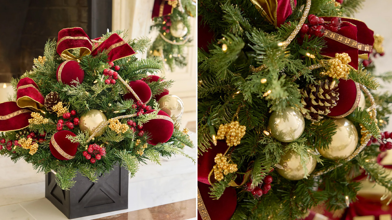 Royal Heirloom Foliage