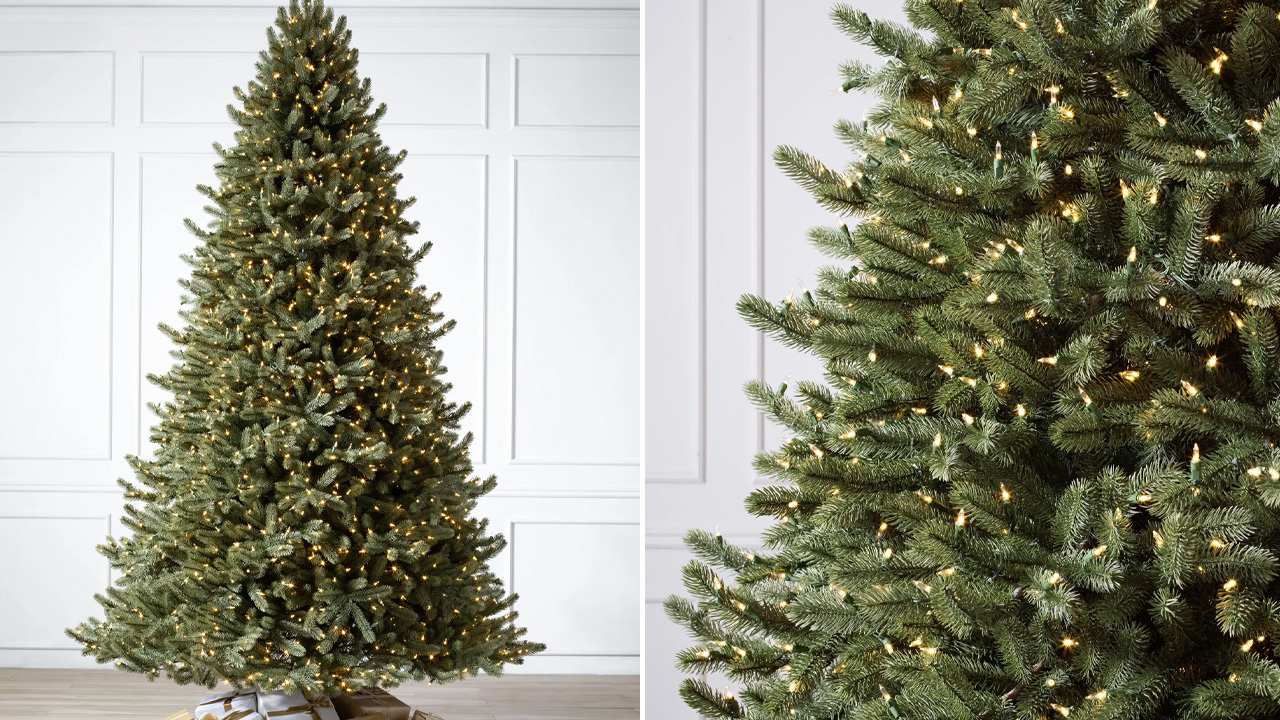 Vermont White Spruce Christmas Tree