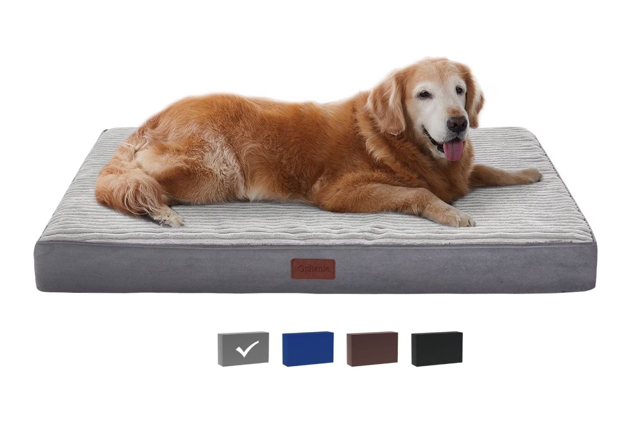Walmart Black Friday Deals - Orthopedic Dog Bed