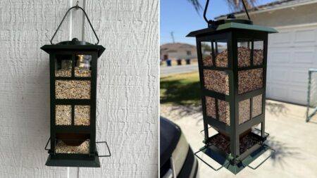 Wildpark bird feeder featured image