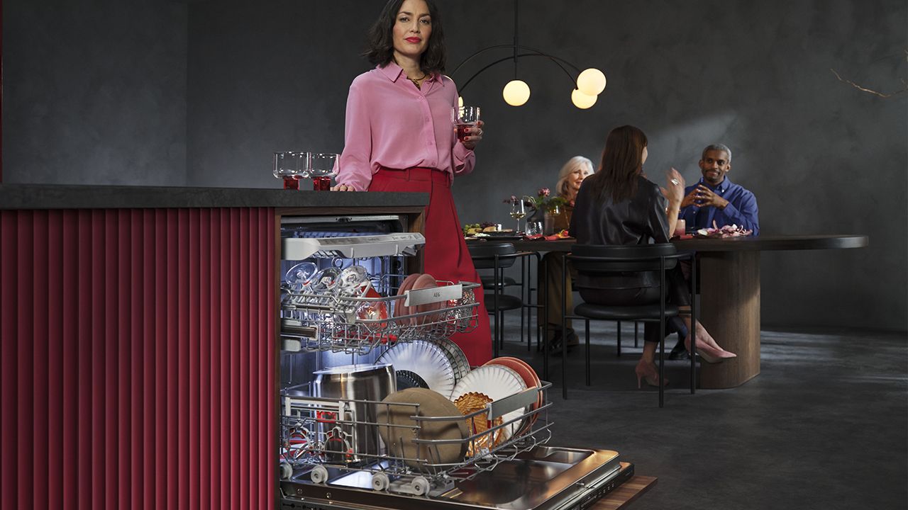 AEG FAVORIT Dishwashers