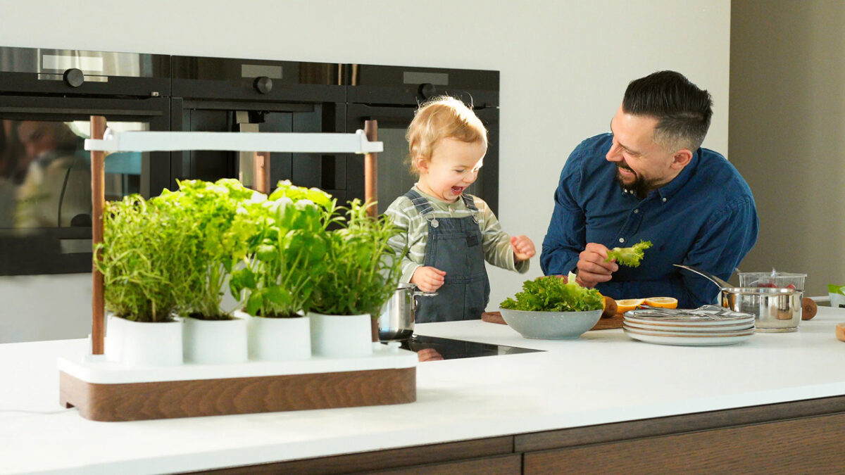 Auk Mini Hydroponic Indoor Garden Works With all Kinds of Seeds