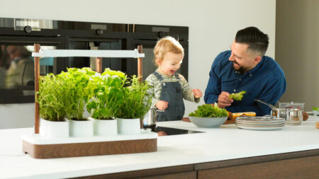 Auk Mini Hydroponic Indoor Garden Works With all Kinds of Seeds Auk Mini Hydroponic Indoor Garden Works With Any Kind of Seeds