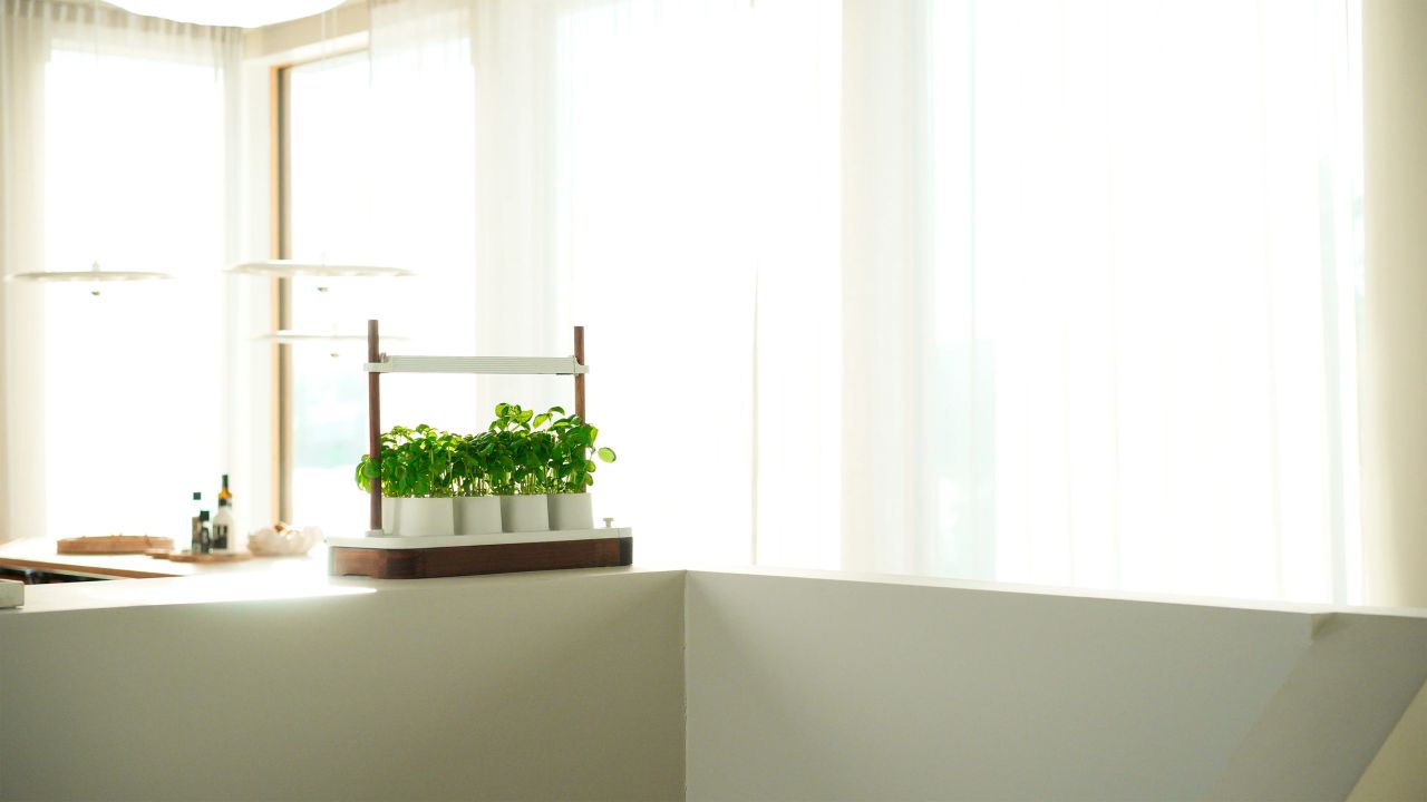 Auk Mini Hydroponic Indoor Garden Works With Any Kind of Seeds