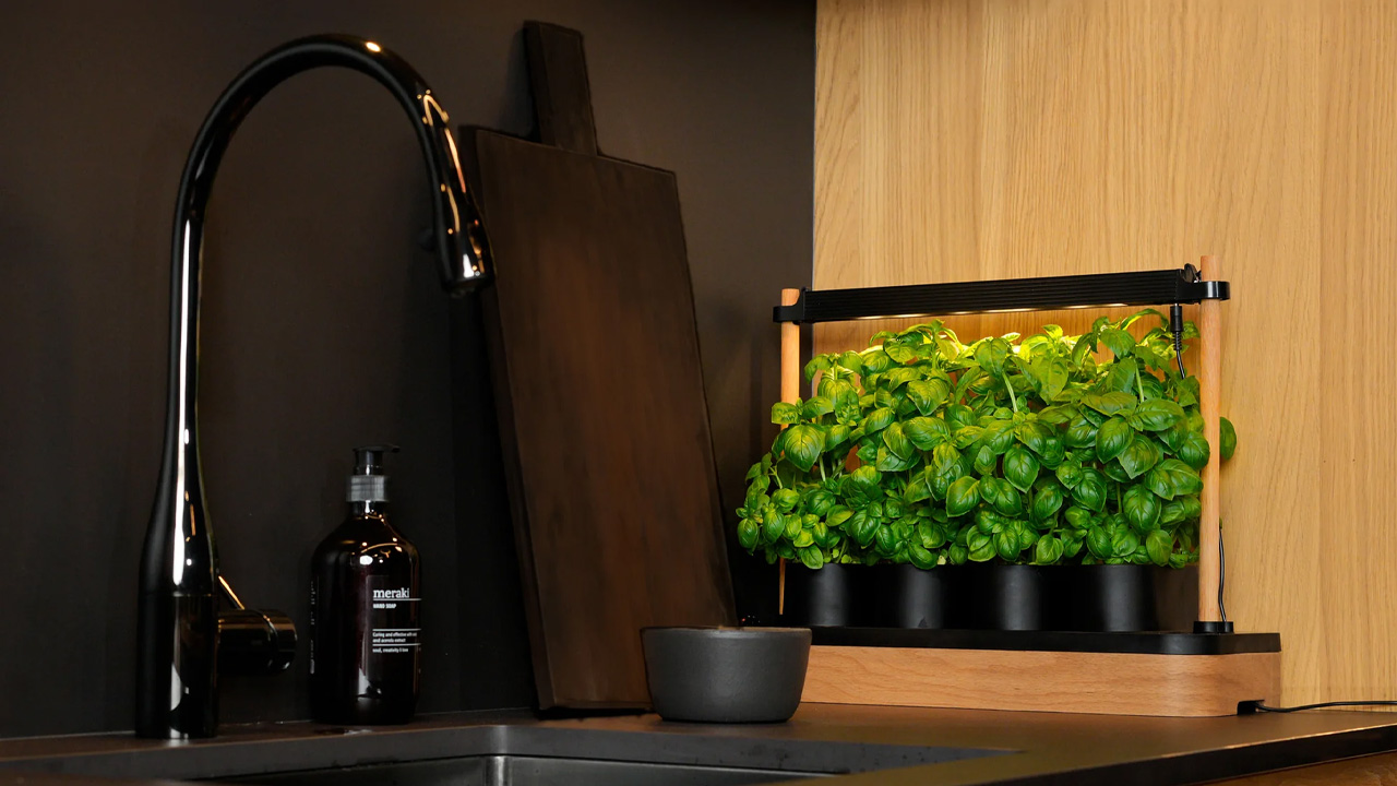 Auk Mini Hydroponic Indoor Garden Works With Any Kind of Seeds