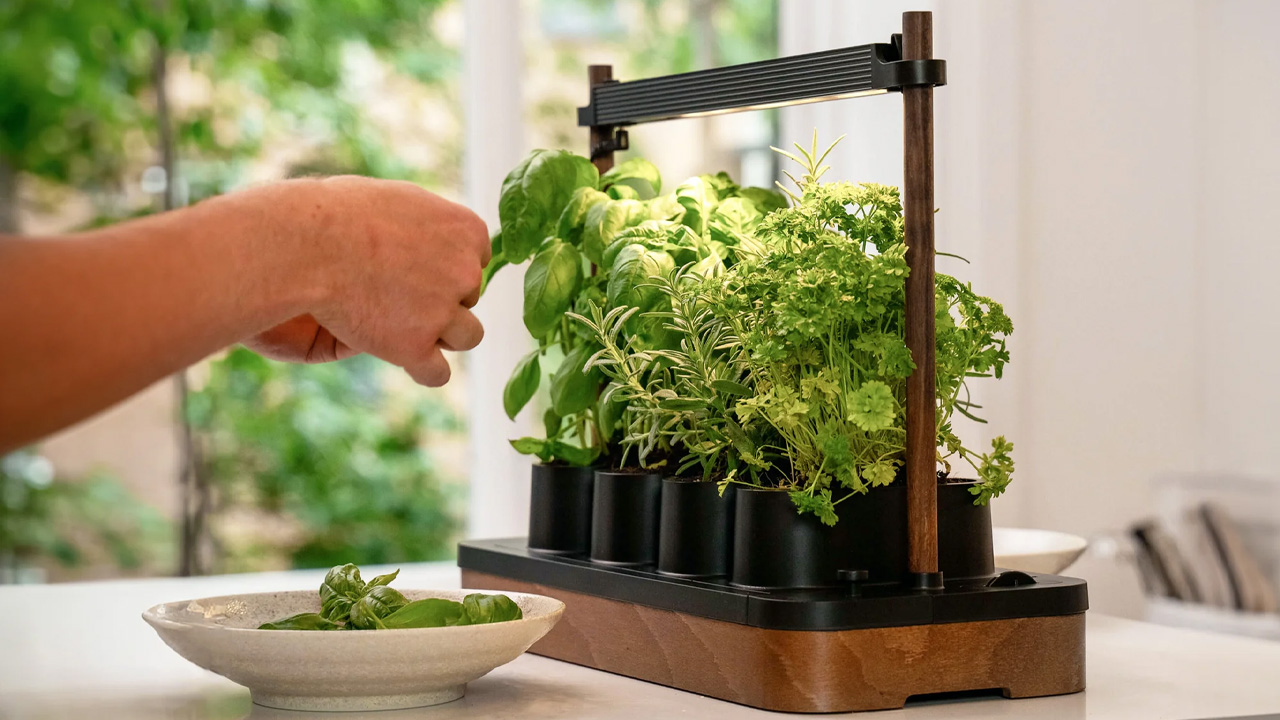Auk Mini Hydroponic Indoor Garden Works With Any Kind of Seeds