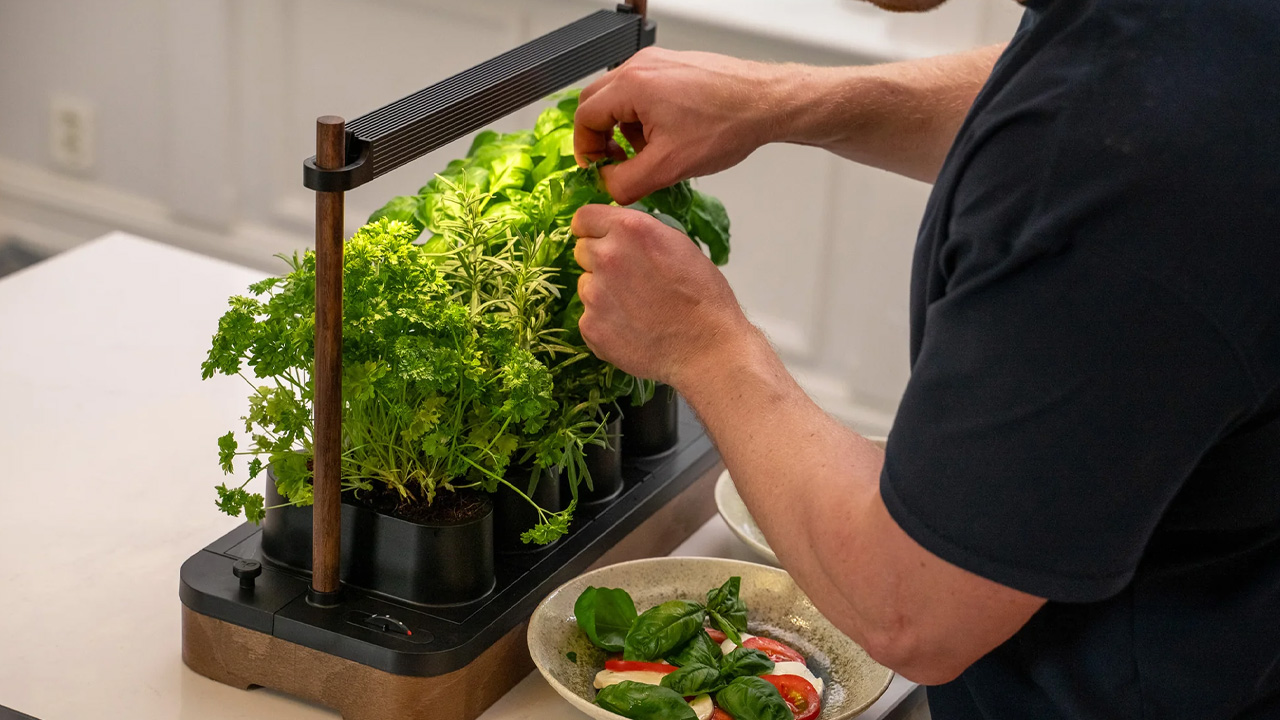 Auk Mini Hydroponic Indoor Garden Works With Any Kind of Seeds