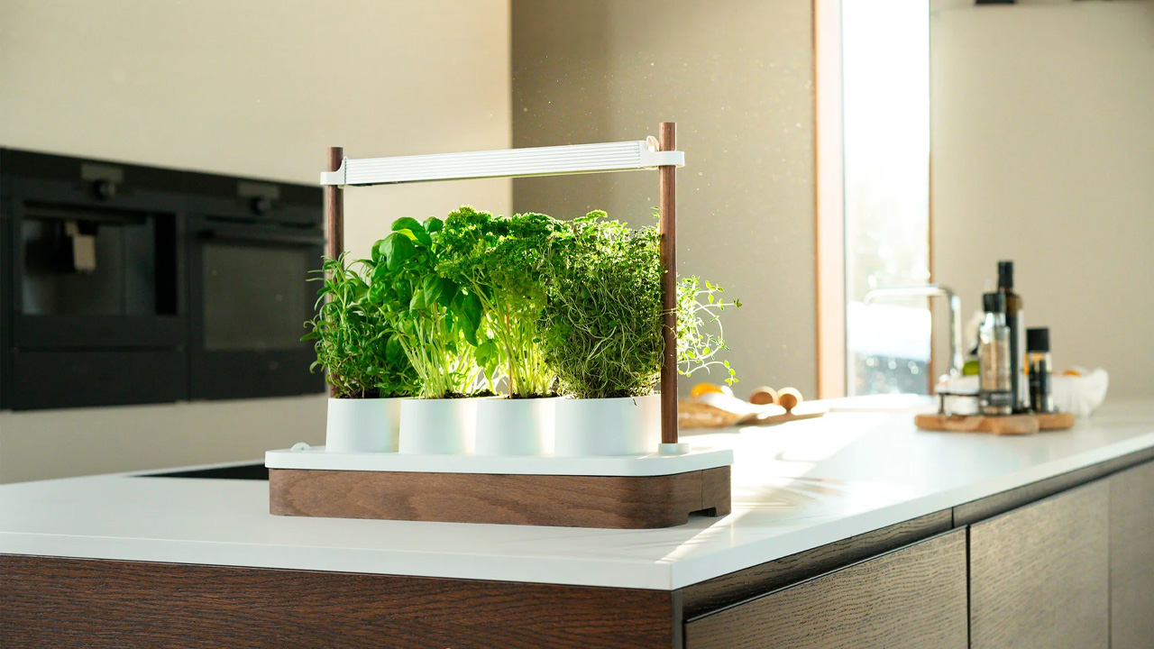Auk Mini Hydroponic Indoor Garden Works With Any Kind of Seeds