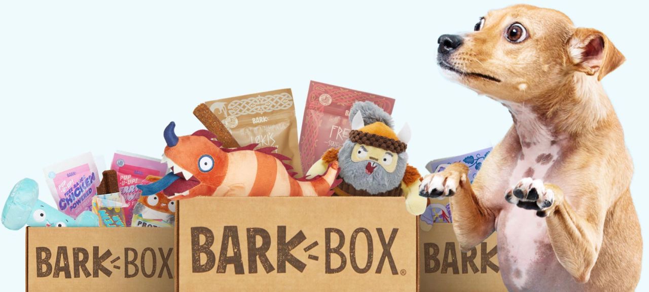 BarkBox Dog Subscription