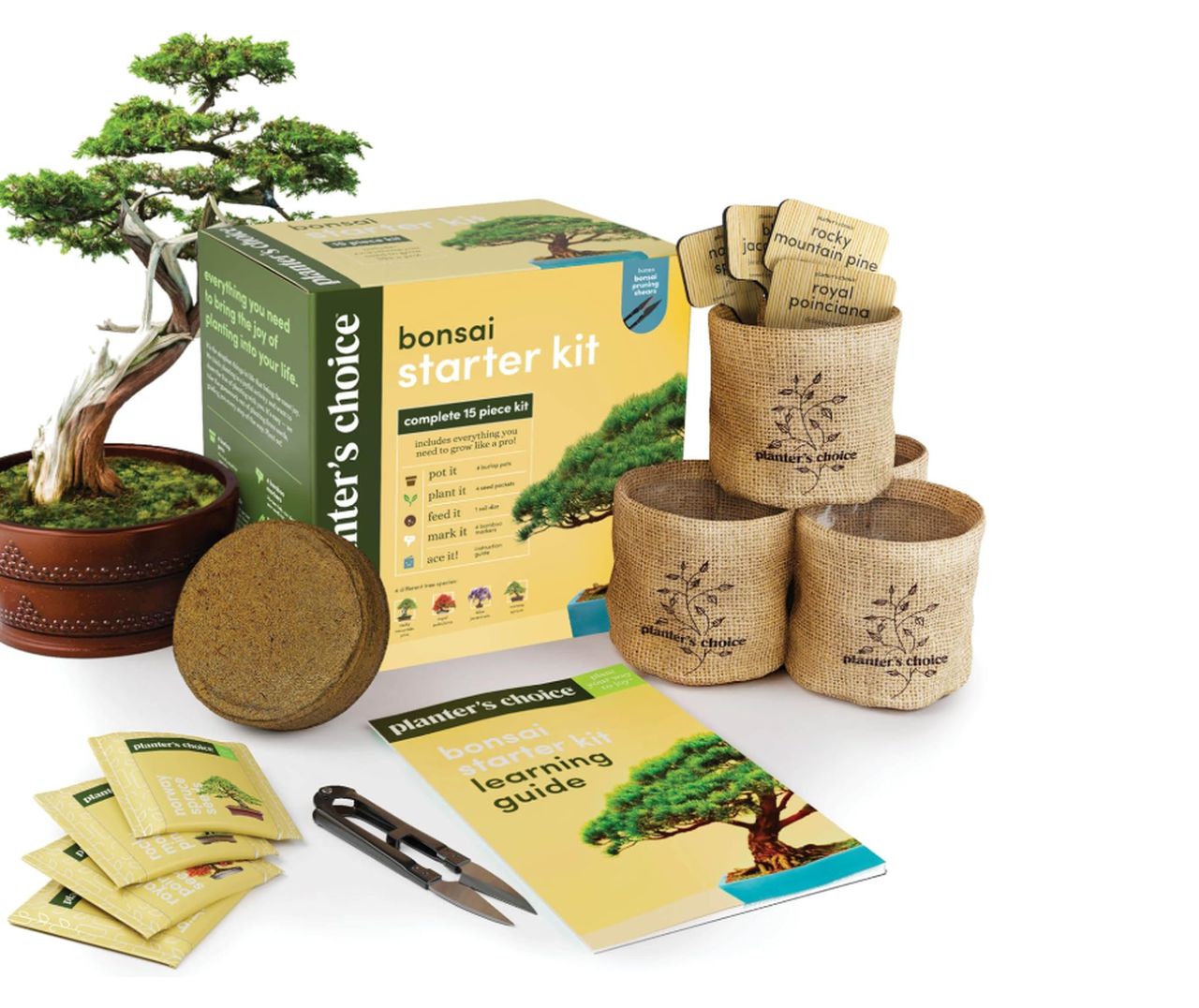 Bonsai Tree Starter Kit