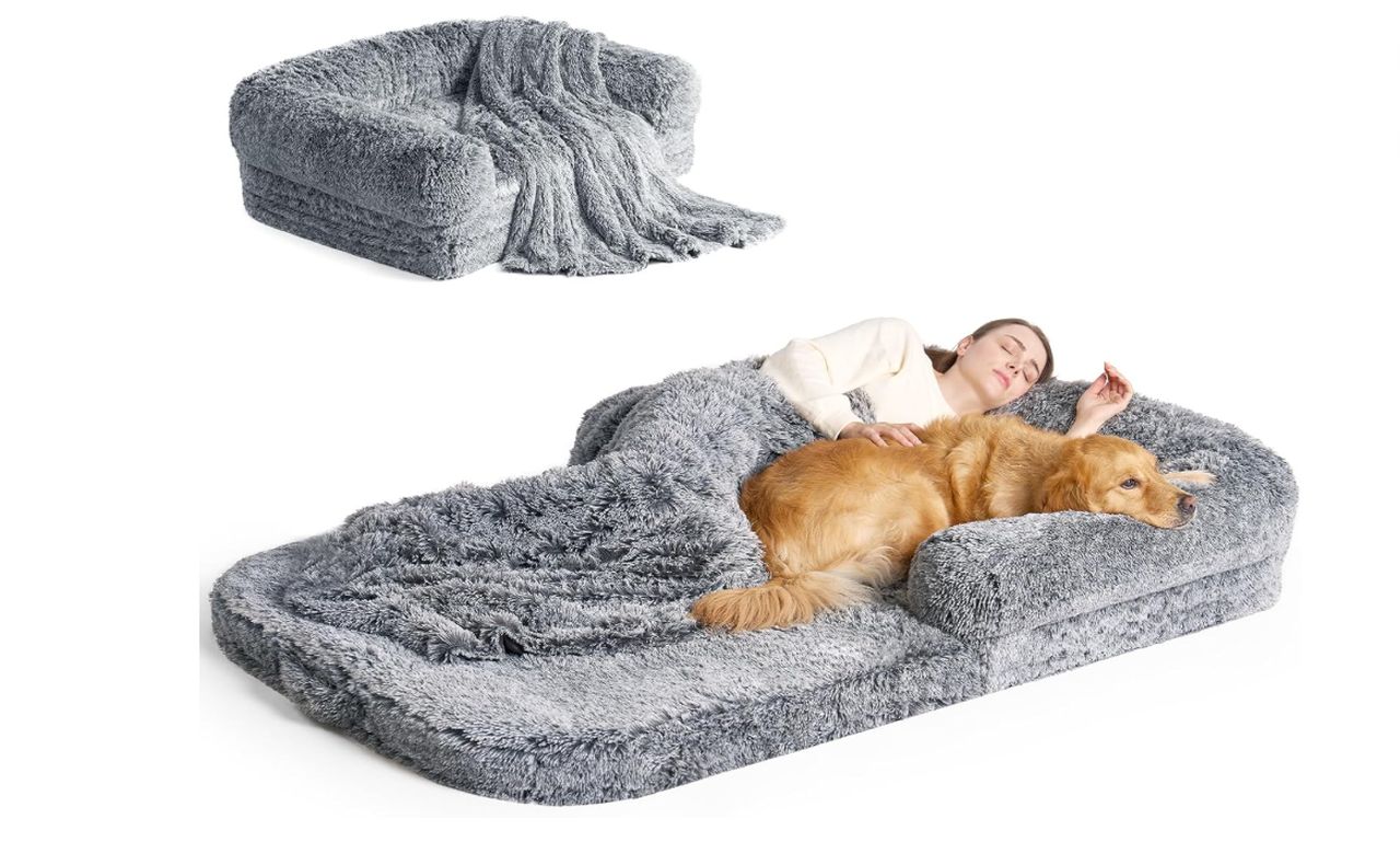 EHEYCIGA Foldable Human Dog Bed