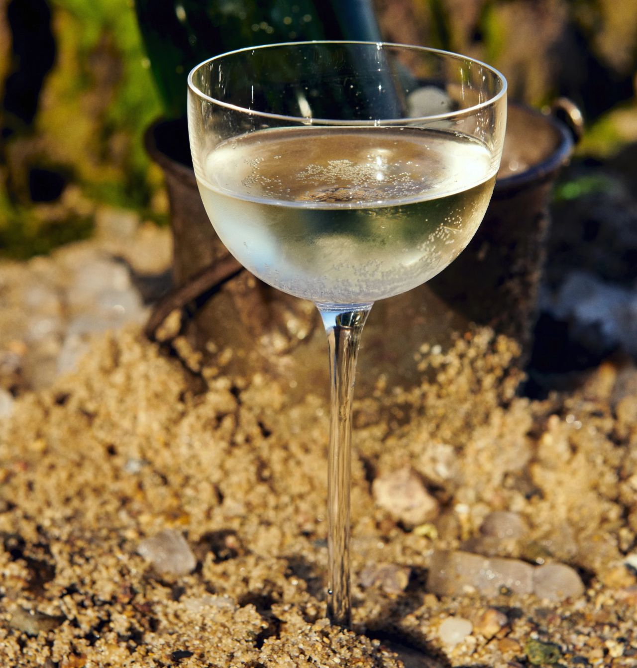 Elderflower French 75