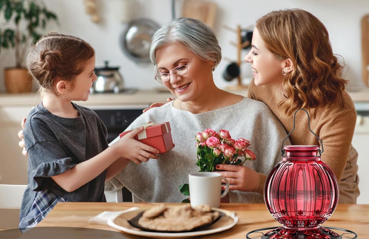 Glass Hummingbird Feeder for Outdoors Hanging