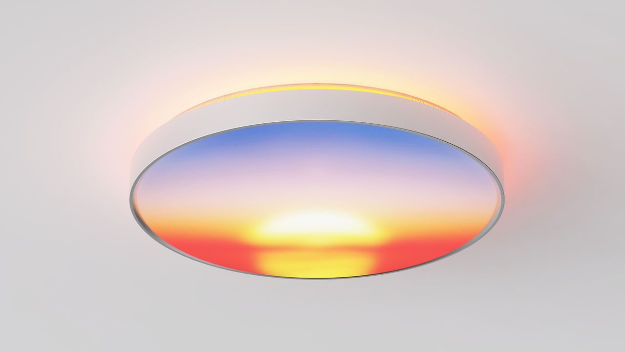 Govee Ceiling Light