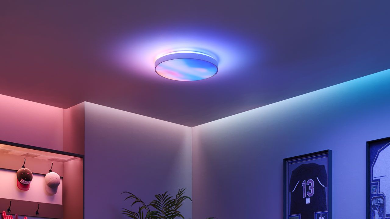 Govee Ceiling Light
