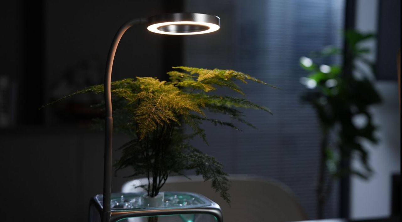 Izestee Smart Desktop Aeroponic Planter