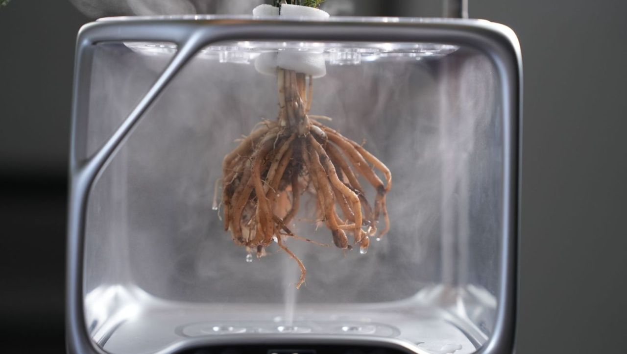 Izestee Smart Desktop Aeroponic Planter