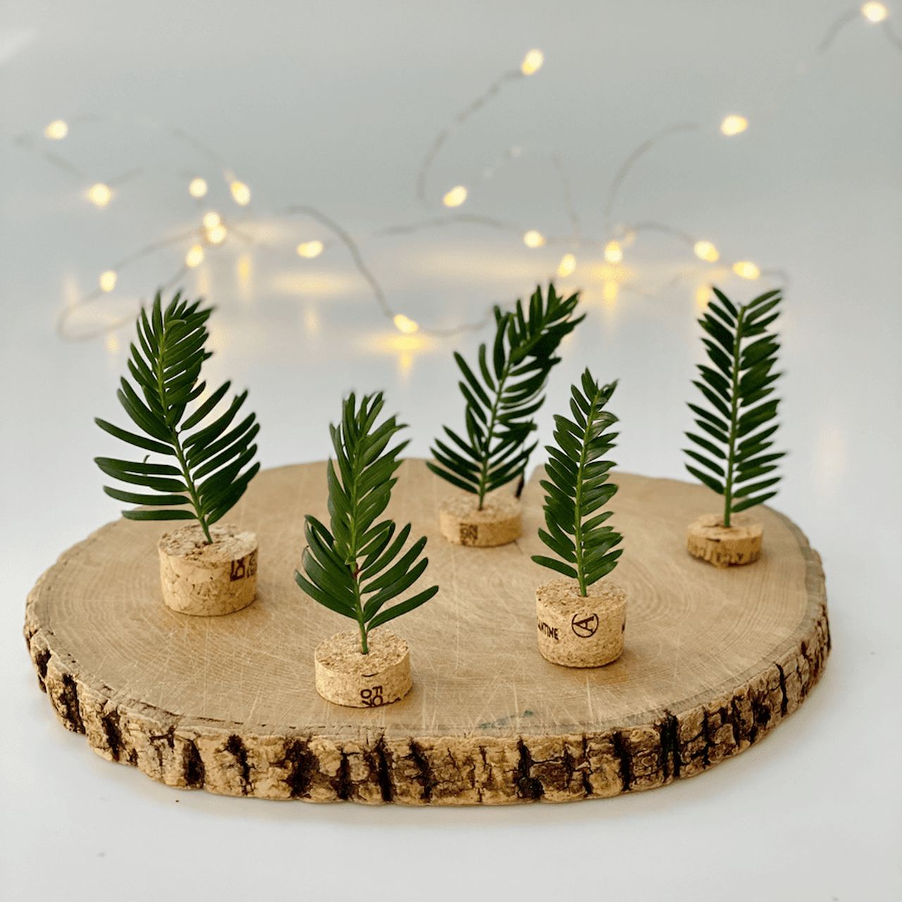 Mini Christmas Tree Table Decorations