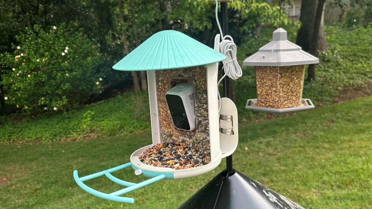 NETVUE by Birdfy AI Smart Bird Feeder with smart Camera