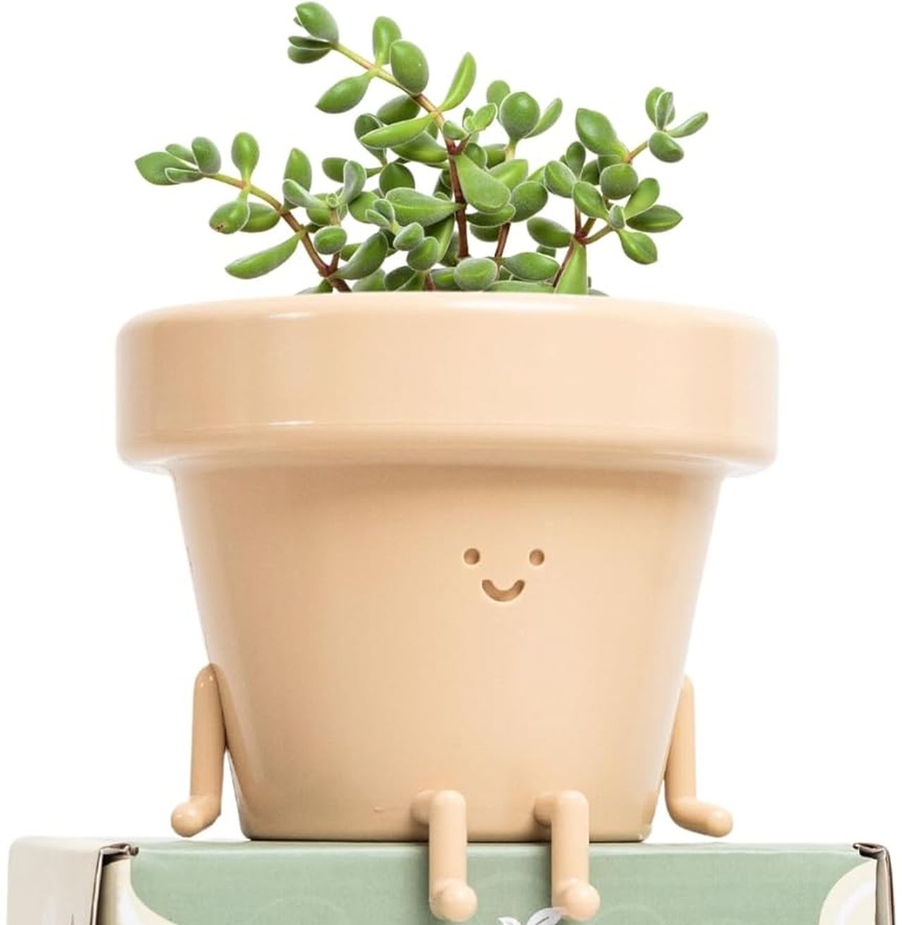 Original Earthlings Sitting Small Plant Pot