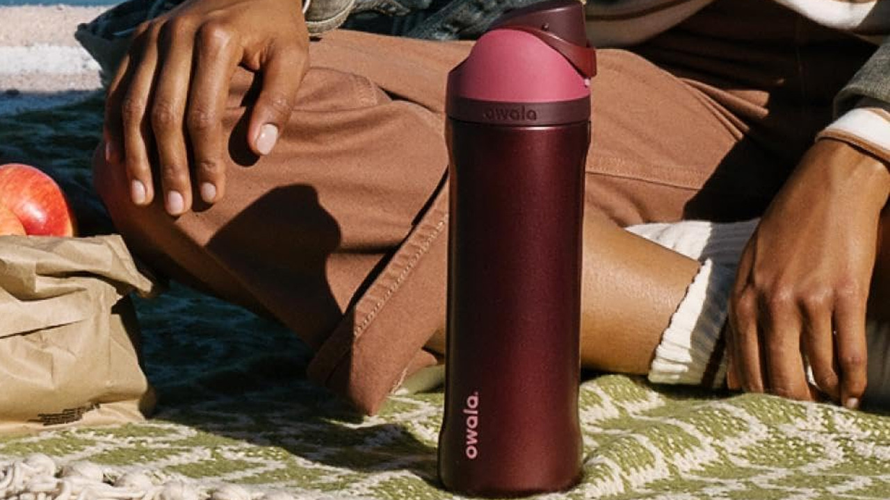 Owala FreeSip Insulated Stainless Steel Water Bottle