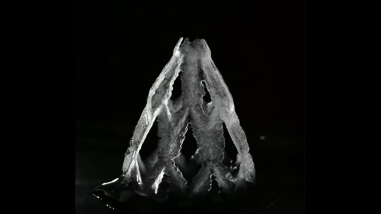 Researchers From University of Amsterdam 3D-Printed Christmas Tree Made Entirely of Ice