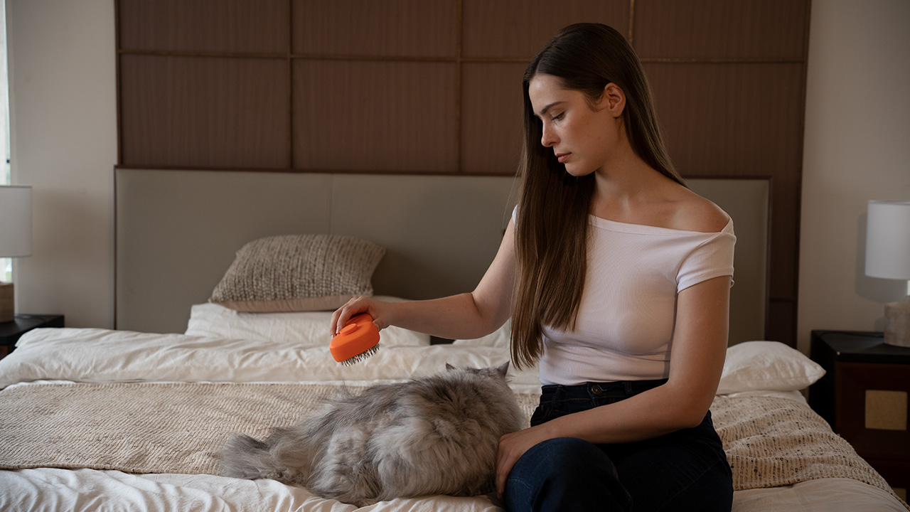 STOROVIC Pet Grooming Tool With Cold Plasma Technology