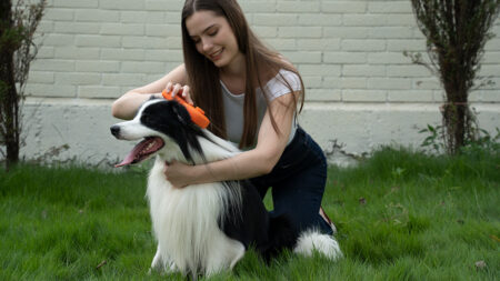 Storovic Pure Care Grooming Brush Kills Bacteria, Removes Odor Without Chemicals STOROVIC Pet Grooming Tool With Cold Plasma Technology