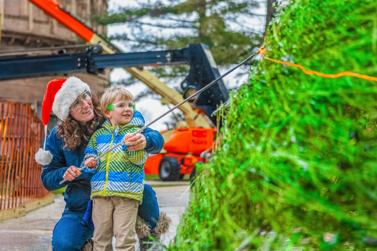 World's Tallest Glass Tree