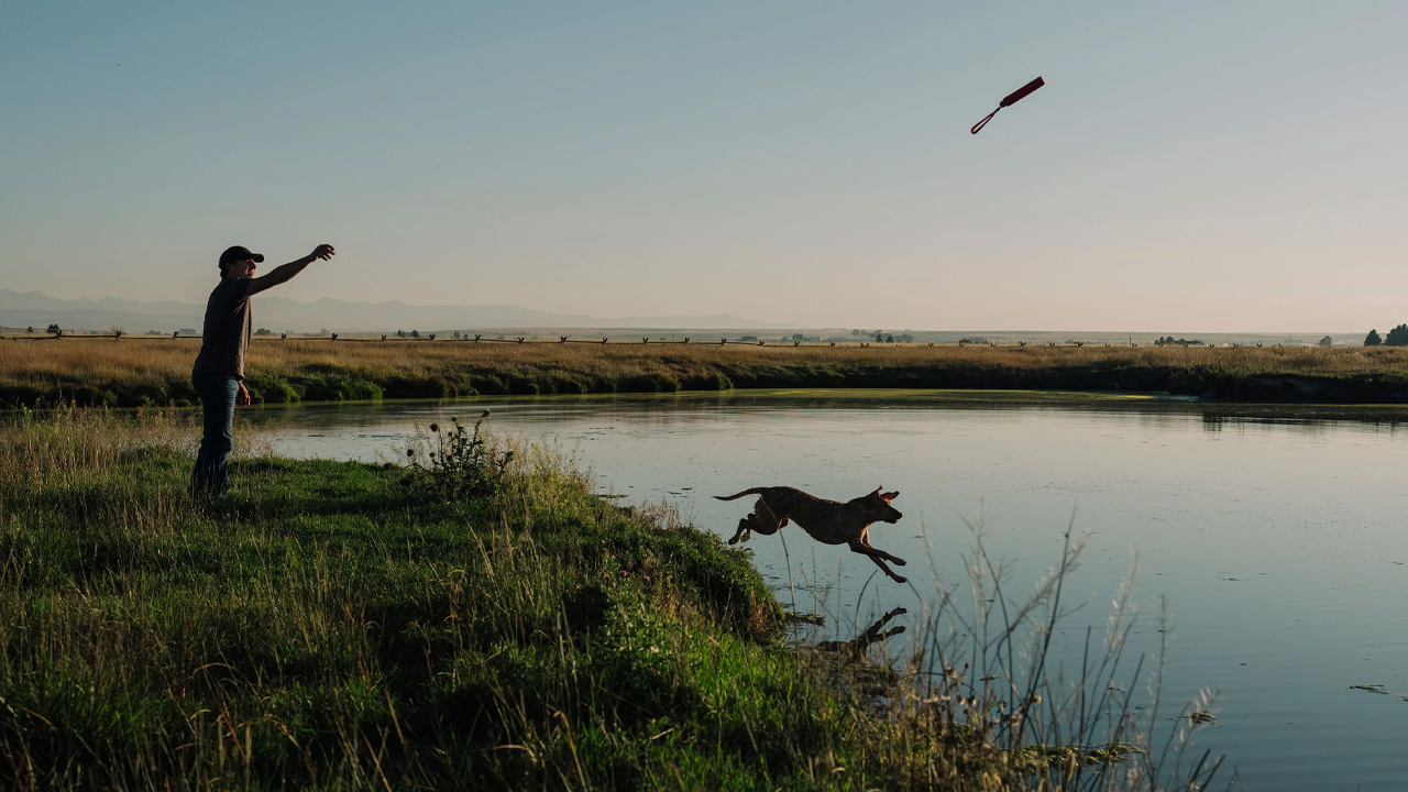 Yeti Launches New Series of Dog Toys