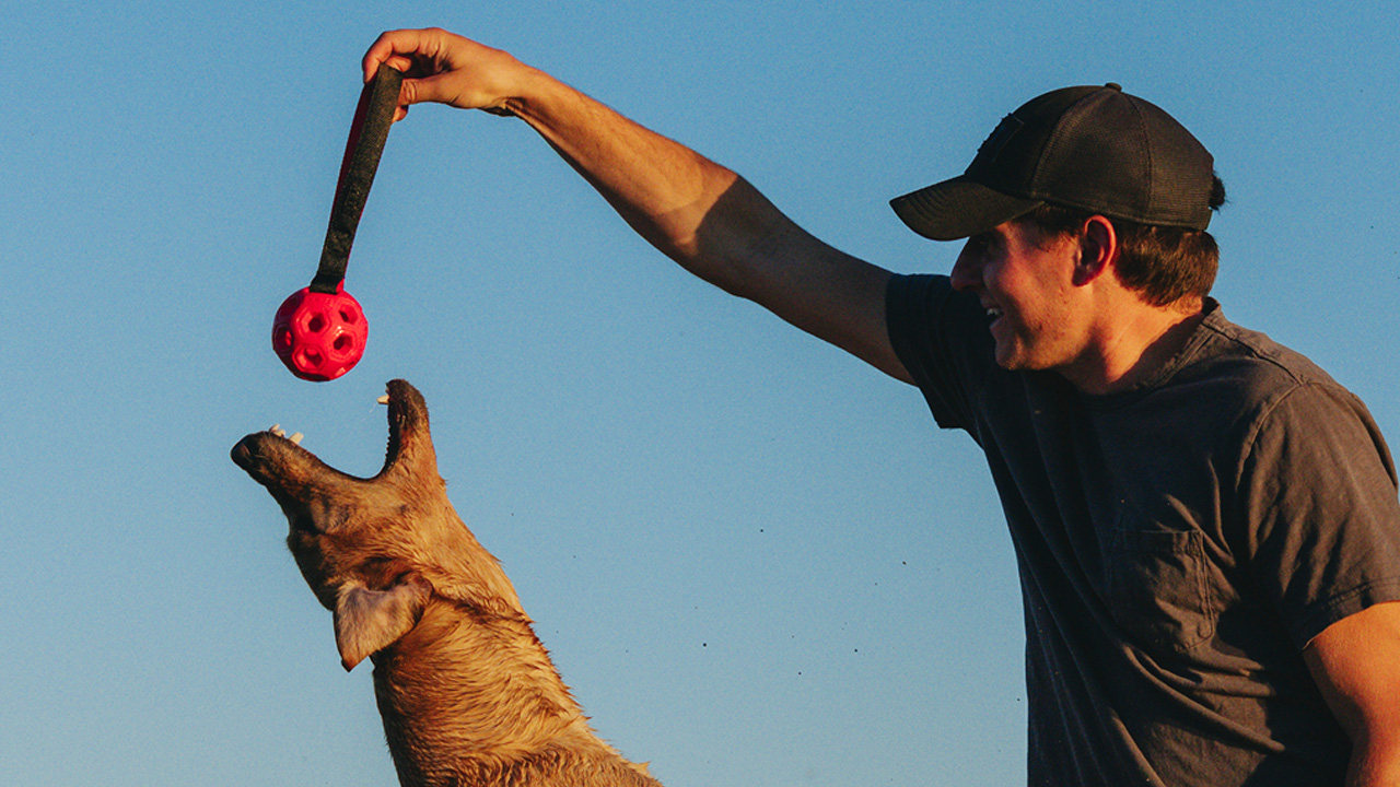 Yeti Launches New Series of Dog Toys