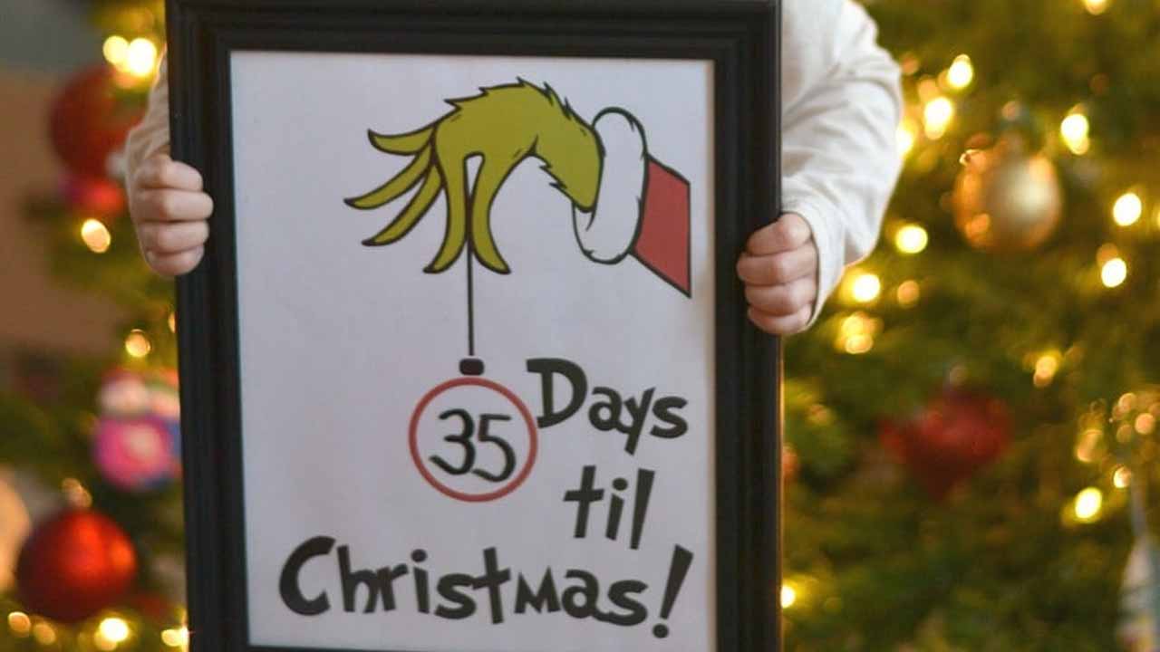 Christmas Grinch decoration-5