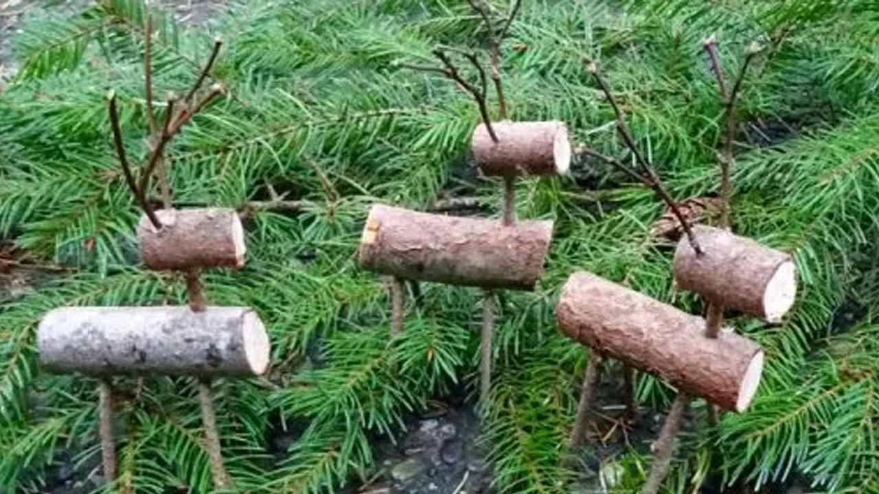 Christmas twig ornaments-6