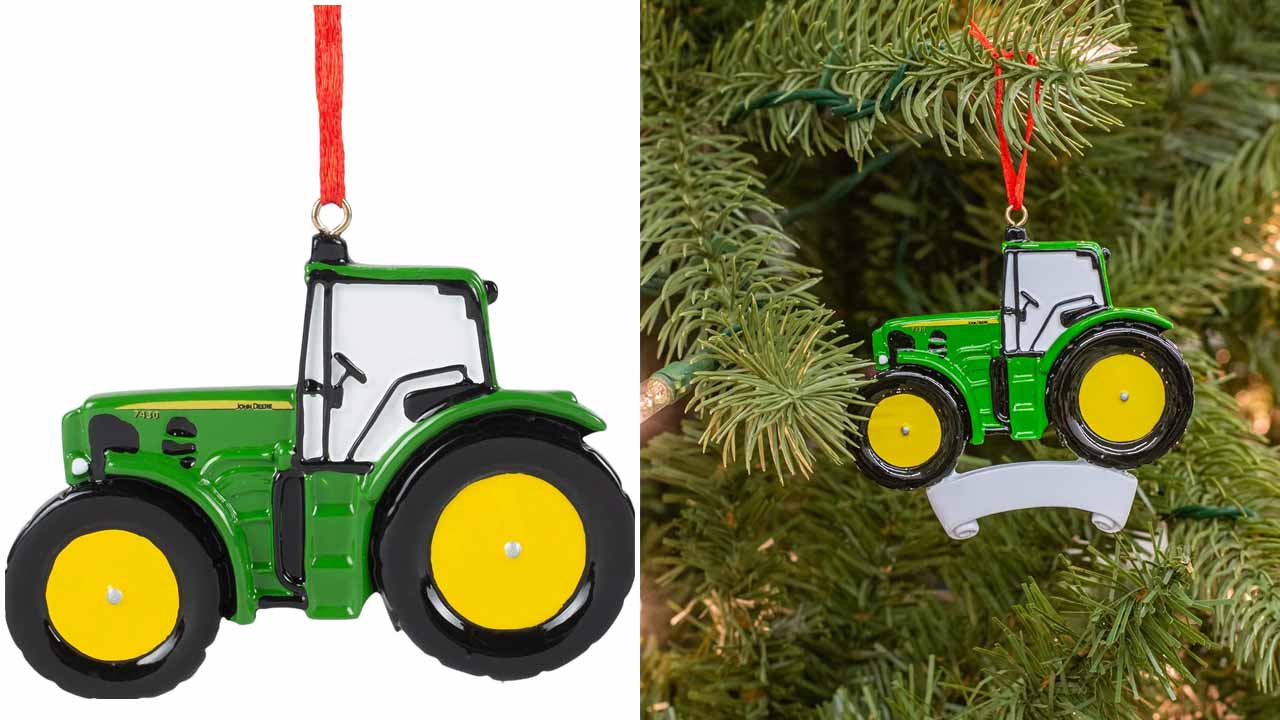 Personalized Christmas Ornaments 8