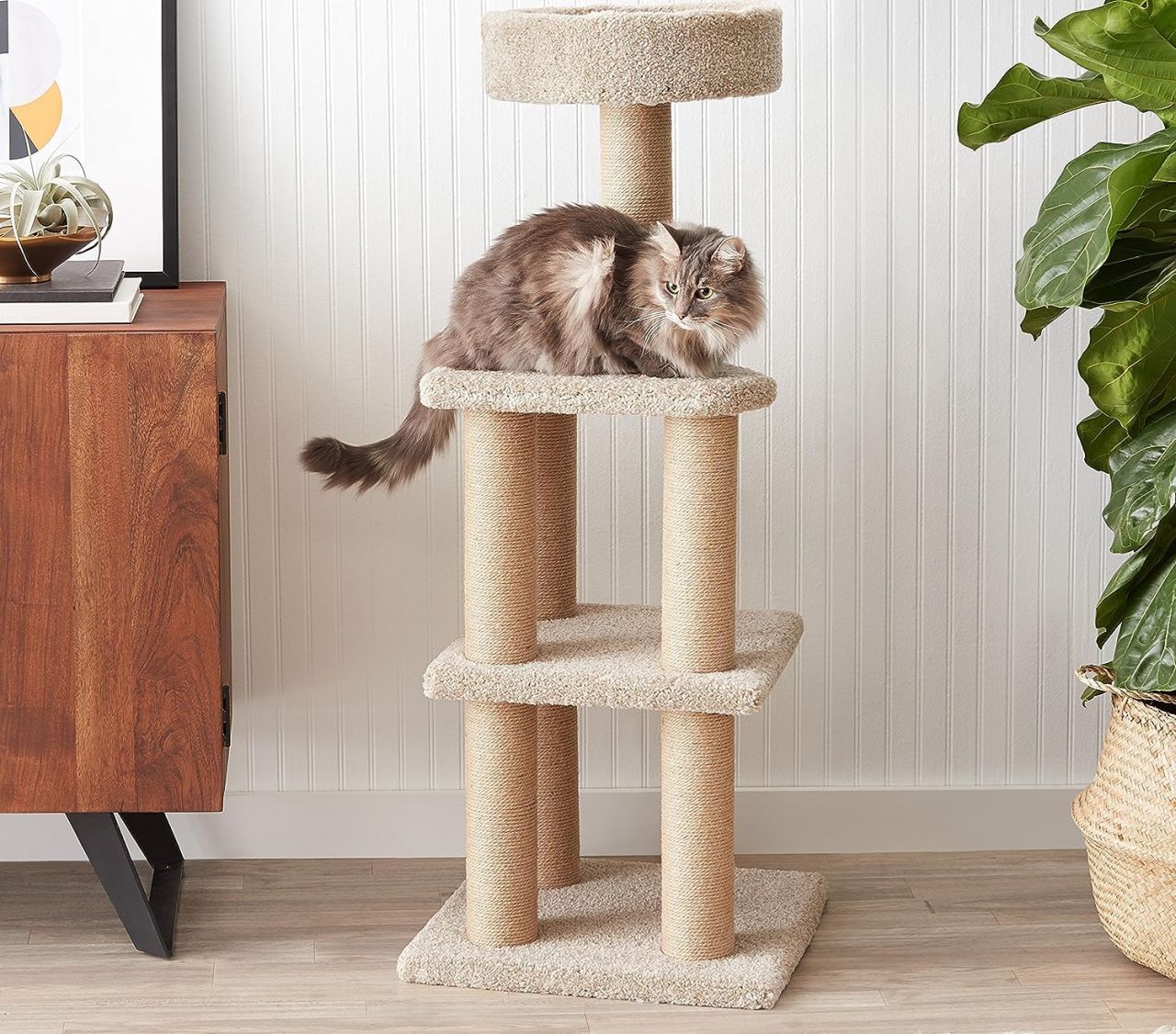 Amazon Basics Cat Tree
