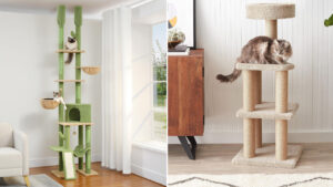 Best Cat Scratching Trees for a Fun-Loving Feline