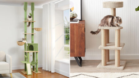 Best Cat Scratching Trees for a Fun-Loving Feline