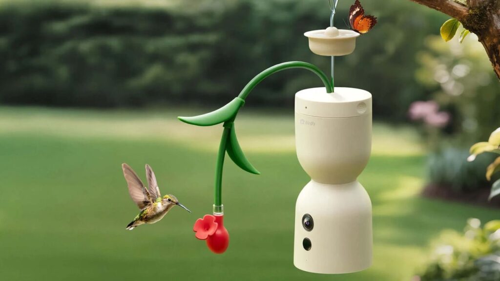Birdfy Smart Hummingbird feeder Hum Bloom - 1