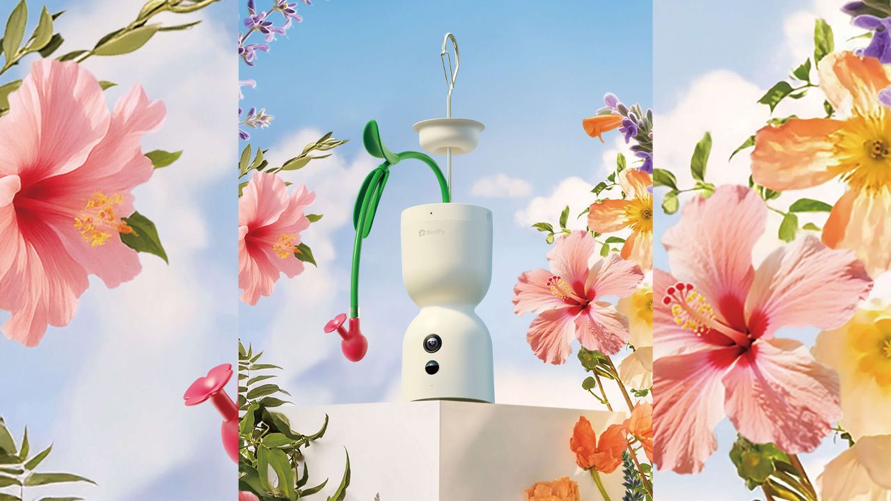 Birdfy Smart Hummingbird feeder Hum Bloom